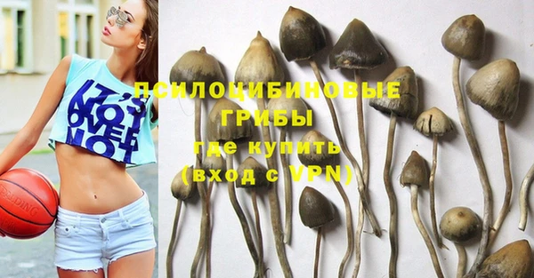 гашиш Арсеньев