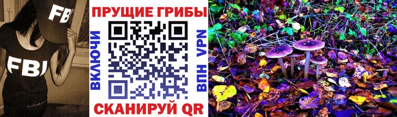 Псилоцибиновые грибы ЛСД купить закладку kraken как войти Обоянь